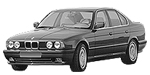 BMW E34 B1982 Fault Code